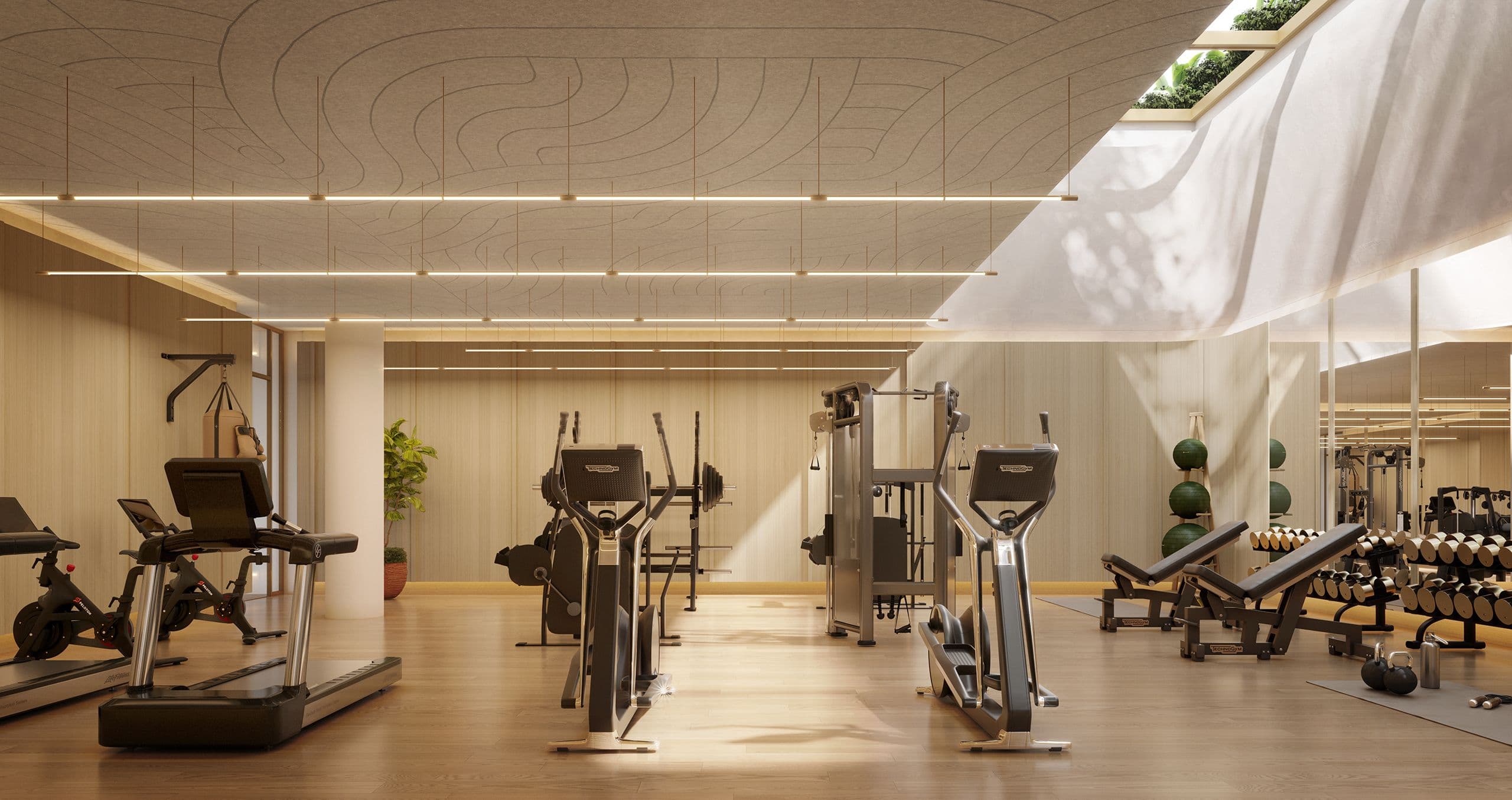 fitness